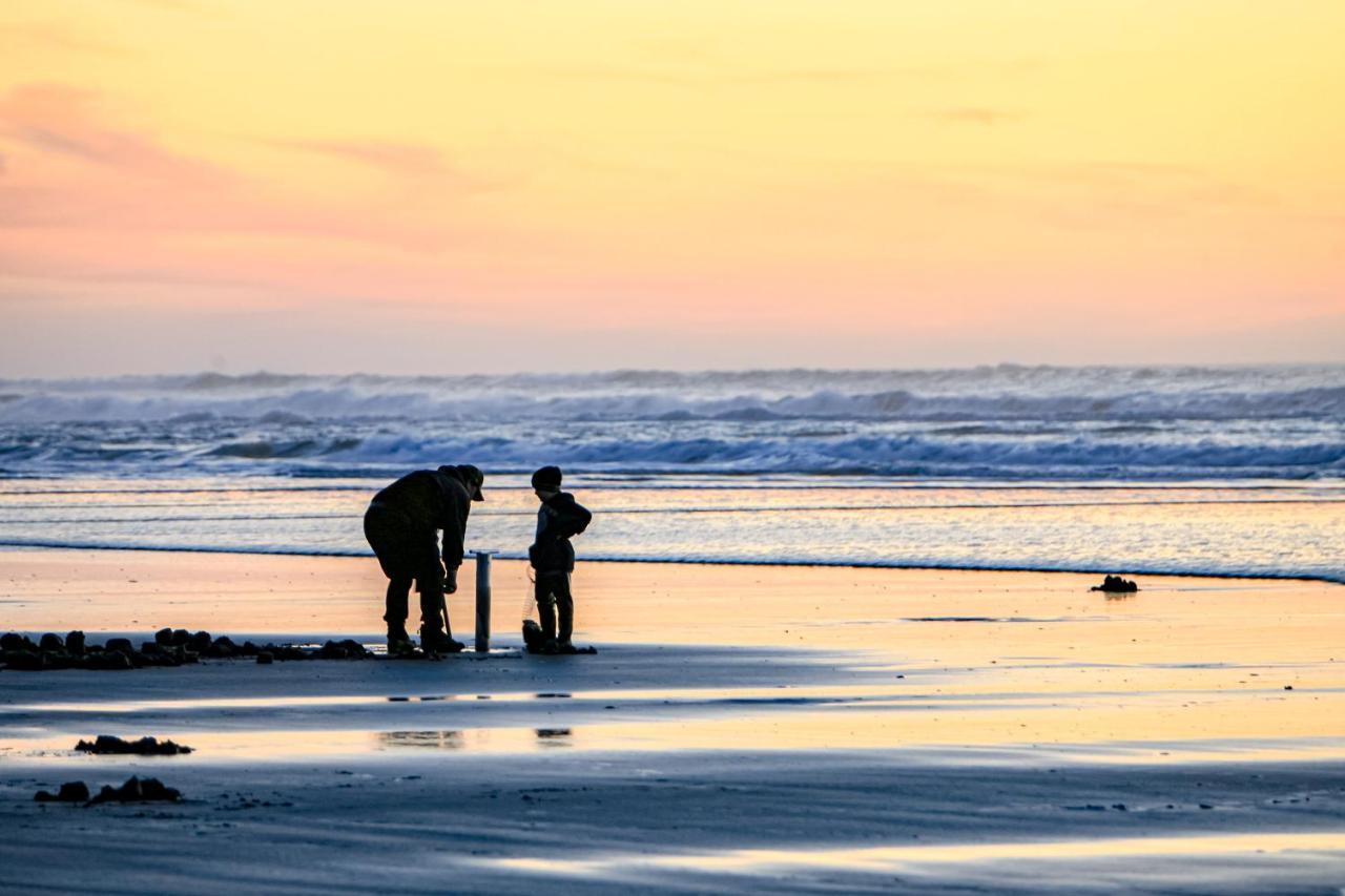 Sunset Dunes Ocean Shores Luaran gambar